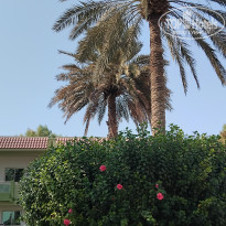 фото из отзыва ID 2742262