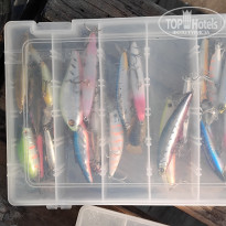 фото из отзыва ID 2742262