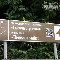 фото из отзыва ID 2742267