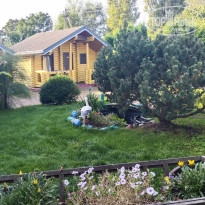 фото из отзыва ID 2742289