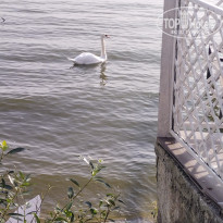 фото из отзыва ID 2742289