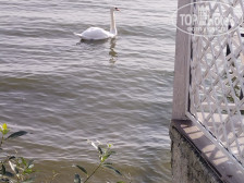 Элиза Заркау