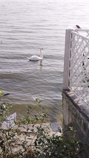 Элиза Заркау