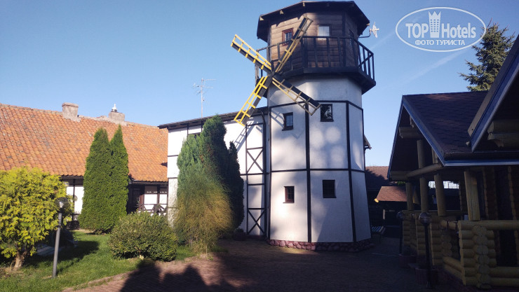 Элиза Заркау