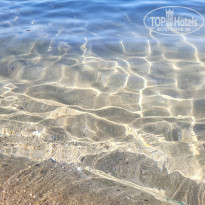 фото из отзыва ID 2742291