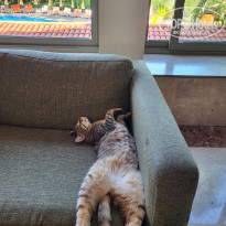 фото из отзыва ID 2742291