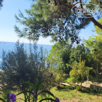 фото из отзыва ID 2742291