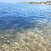 фото из отзыва ID 2742291