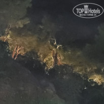 фото из отзыва ID 2742291