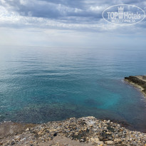 фото из отзыва ID 2742291