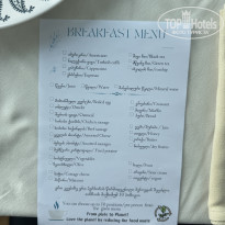 фото из отзыва ID 2742300