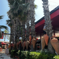 фото из отзыва ID 2742311