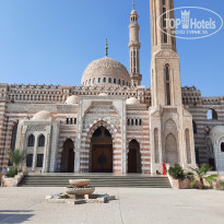 фото из отзыва ID 2742316