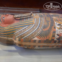 фото из отзыва ID 2742316