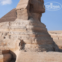 фото из отзыва ID 2742316