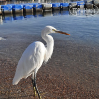 фото из отзыва ID 2742316