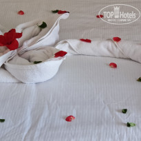 фото из отзыва ID 2742322