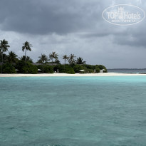 фото из отзыва ID 2741860