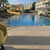 фото из отзыва ID 2742325