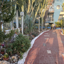 фото из отзыва ID 2742325