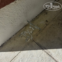 фото из отзыва ID 2742348