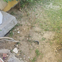 фото из отзыва ID 2742348