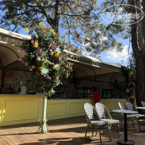 фото из отзыва ID 2742346