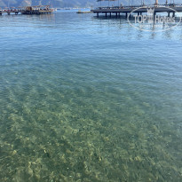 фото из отзыва ID 2742346