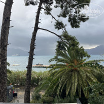 фото из отзыва ID 2742346