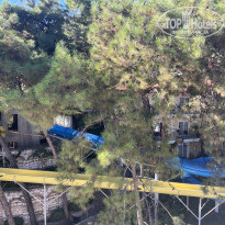 фото из отзыва ID 2742346