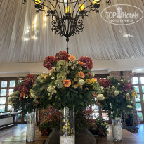 фото из отзыва ID 2742346