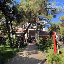 фото из отзыва ID 2742346