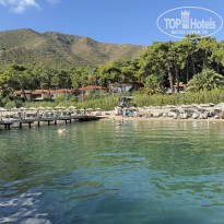 фото из отзыва ID 2742346