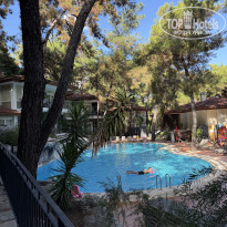 фото из отзыва ID 2742346