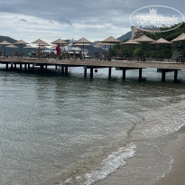 фото из отзыва ID 2742346