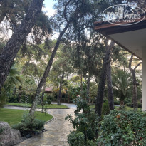 фото из отзыва ID 2742346