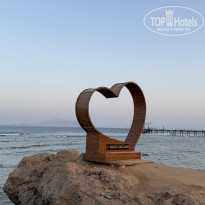 фото из отзыва ID 2742361