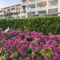 фото из отзыва ID 2742361