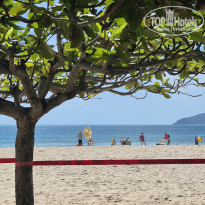 фото из отзыва ID 2742390