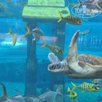 фото из отзыва ID 2742390