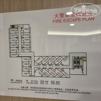 фото из отзыва ID 2742390