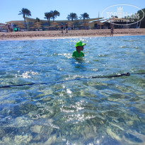 фото из отзыва ID 2742392