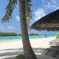 фото из отзыва ID 2742391