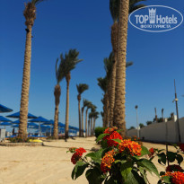 фото из отзыва ID 2742411