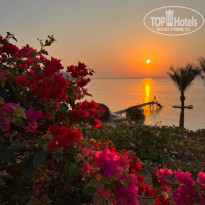 фото из отзыва ID 2742440