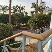 фото из отзыва ID 2742440