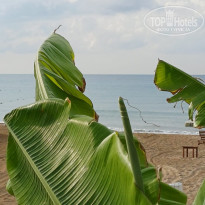 фото из отзыва ID 2742444