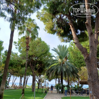 фото из отзыва ID 2742444