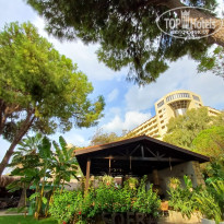 фото из отзыва ID 2742444