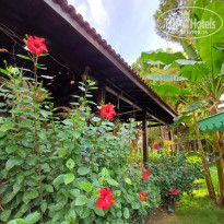 фото из отзыва ID 2742444